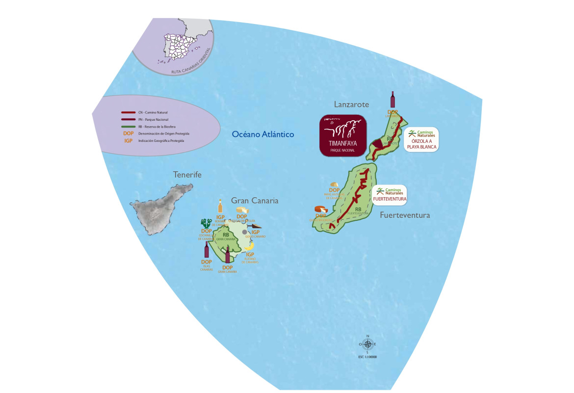 Denominaciones de Origen Protegido - Islas Canarias zona Oriental